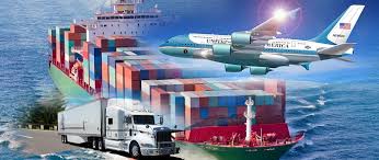 Xuất nhập khẩu chính ngạch cần rất nhiều nhân sự chất lượng cao