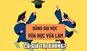 Bằng Đại Học Hệ Vừa Học Vừa Làm Có Giá Trị Không? Suy Nghĩ Thật Kỹ
