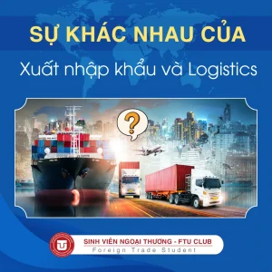 XUẤT NHẬP KHẨU và LOGISTICS Khác Nhau Như Thế Nào? Giải Thích Chi Tiết
