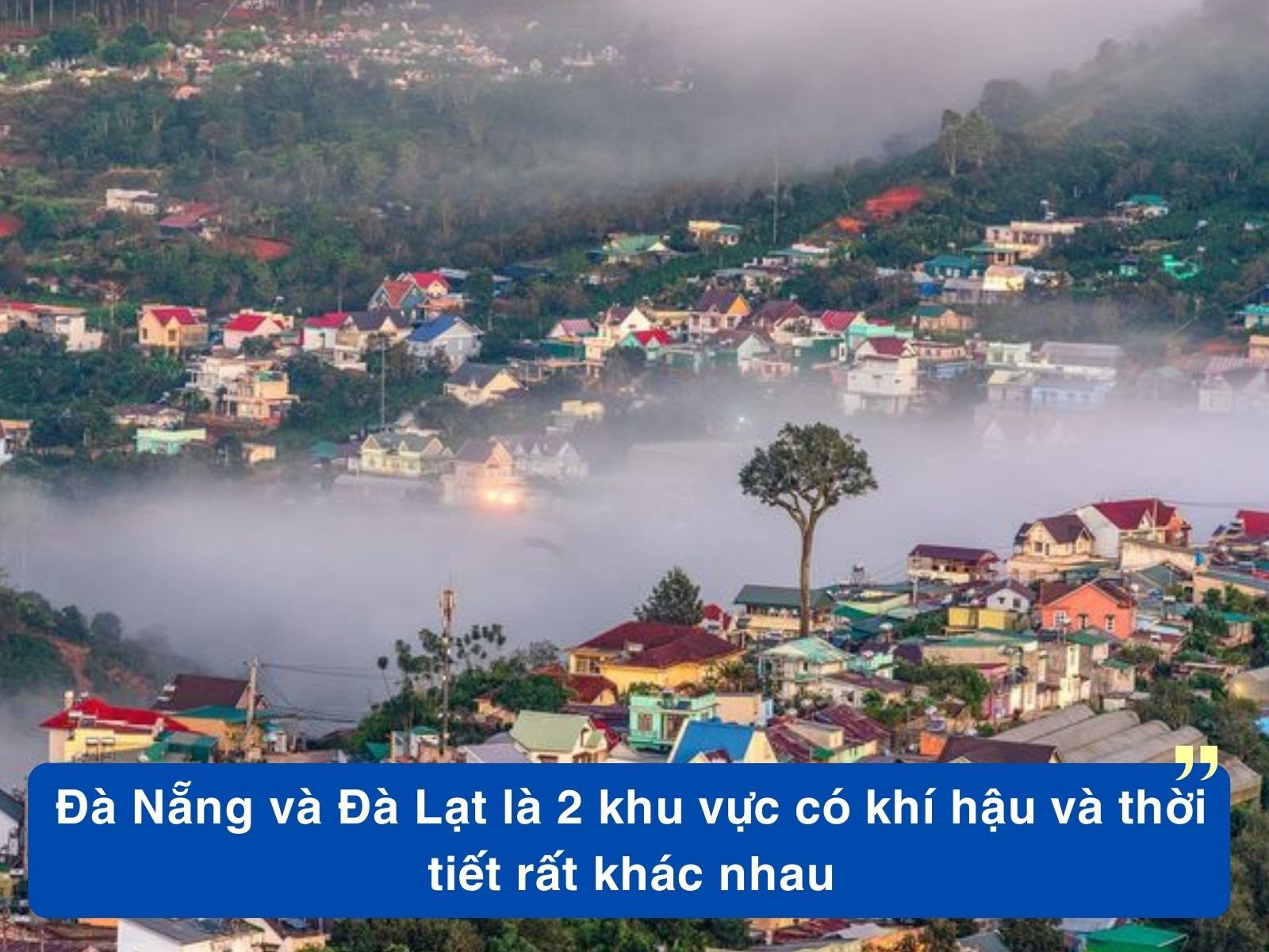 Nên Sống Ở ĐÀ NẴNG Hay ĐÀ LẠT