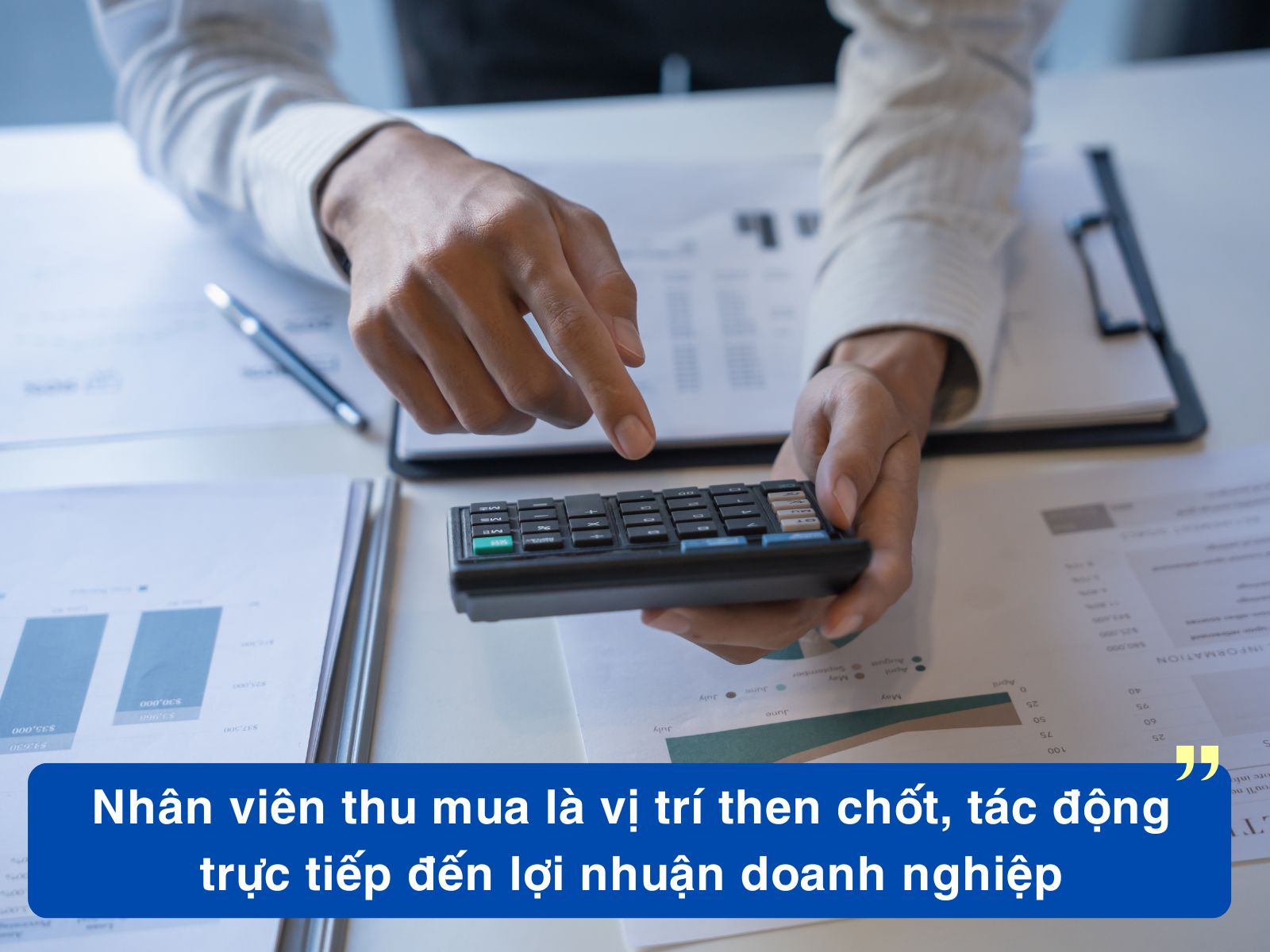Nhân Viên THU MUA Làm Những CÔNG VIỆC Gì